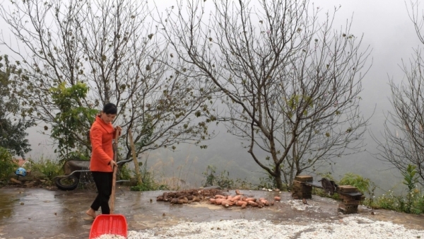 Mùa Thu đến Bình Liêu ngắm hoa đào nở