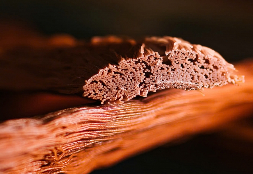 Món quà từ đất núi