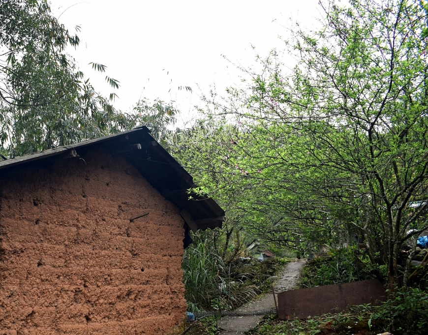 Mùa Thu đến Bình Liêu ngắm hoa đào nở