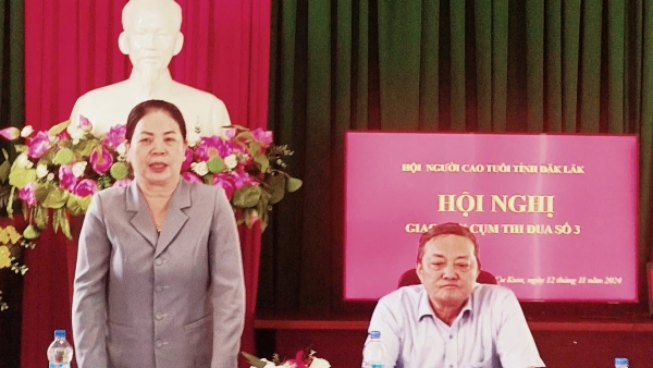 Hội NCT tỉnh Đắk Lắk: Tổ chức Hội nghị giao ban Cụm thi đua số 3 năm 2024