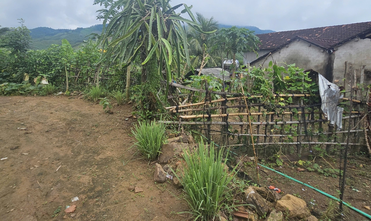 Thực hiện chính sách về đất đai tạo điều kiện cho đồng bào dân tộc thiểu số giảm nghèo bền vững