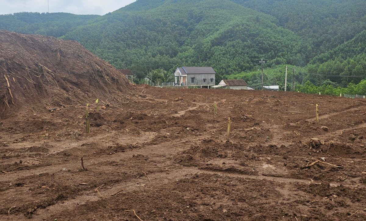 Thực hiện chính sách về đất đai tạo điều kiện cho đồng bào dân tộc thiểu số giảm nghèo bền vững