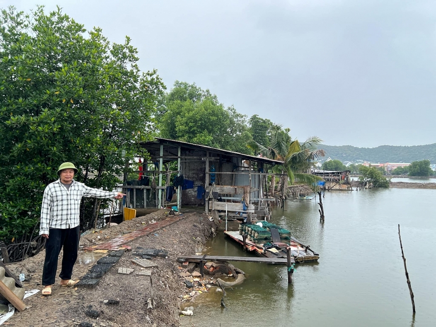 UBND TP Vũng Tàu phản hồi đơn thư khiếu tố của người dân