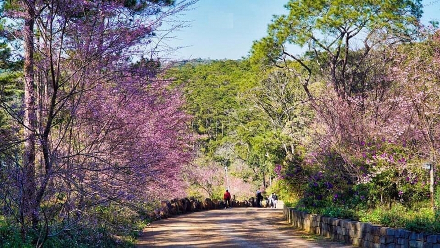 Giữ cho Măng Đen đẹp mãi thuở ban đầu