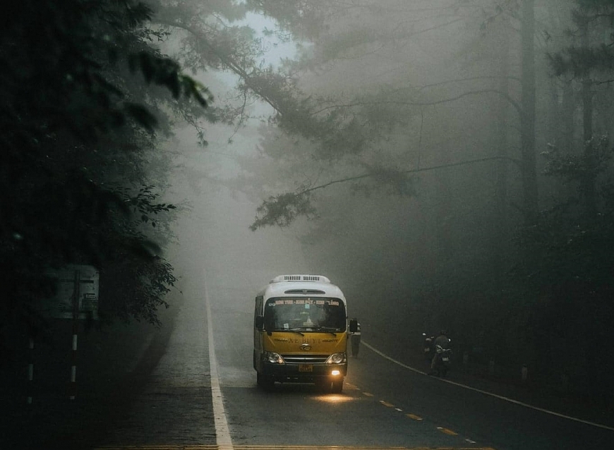 Những con đường đầy sương mù ở Măng Đen.