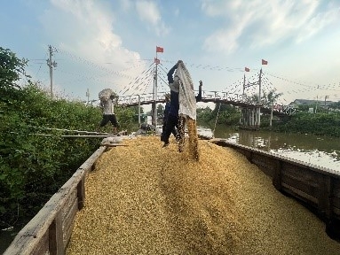 Chuyện mùa gặt...