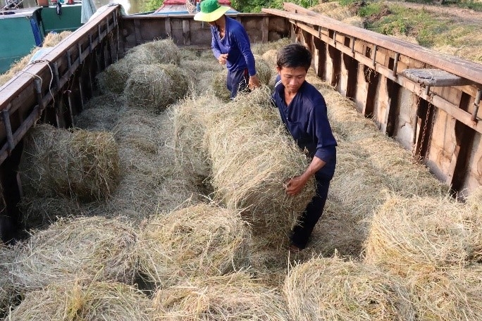 Chuyện mùa gặt...