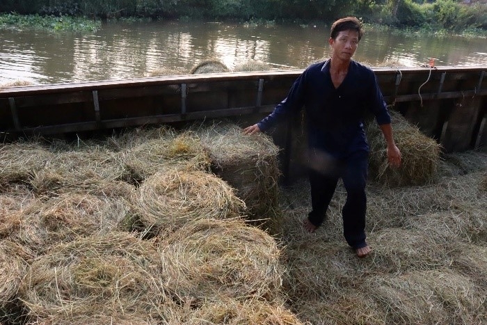 Chuyện mùa gặt...