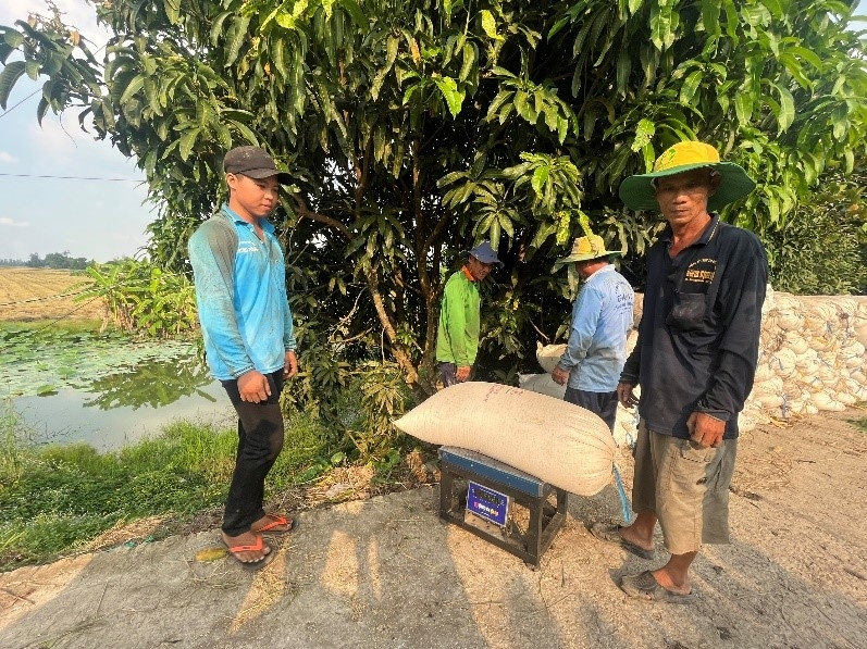 Chuyện mùa gặt...