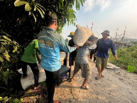 Chuyện mùa gặt...