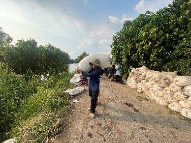 Chuyện mùa gặt...