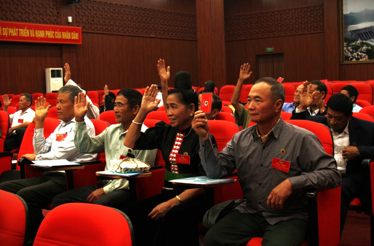 Đại biểu biểu quyết bầu Ban Chấp hành