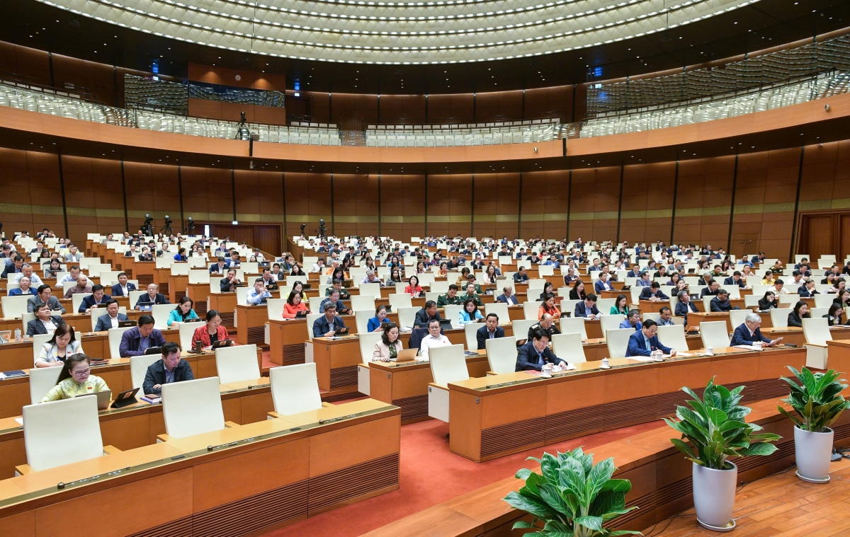 Các ĐBQH tham dự Kì họp thứ 8, Quốc hội Khoá XV