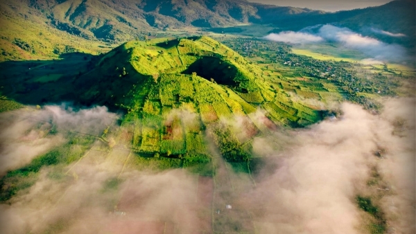 Trên đỉnh núi hoa vàng