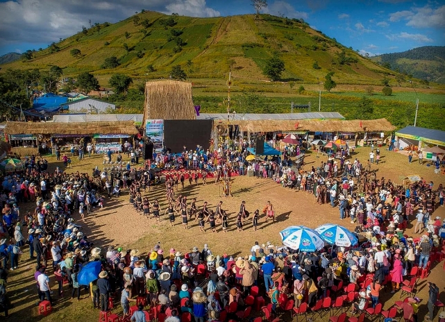 Nhiều hoạt động nghệ thuật tại Lễ hội hoa dã quỳ 2024.