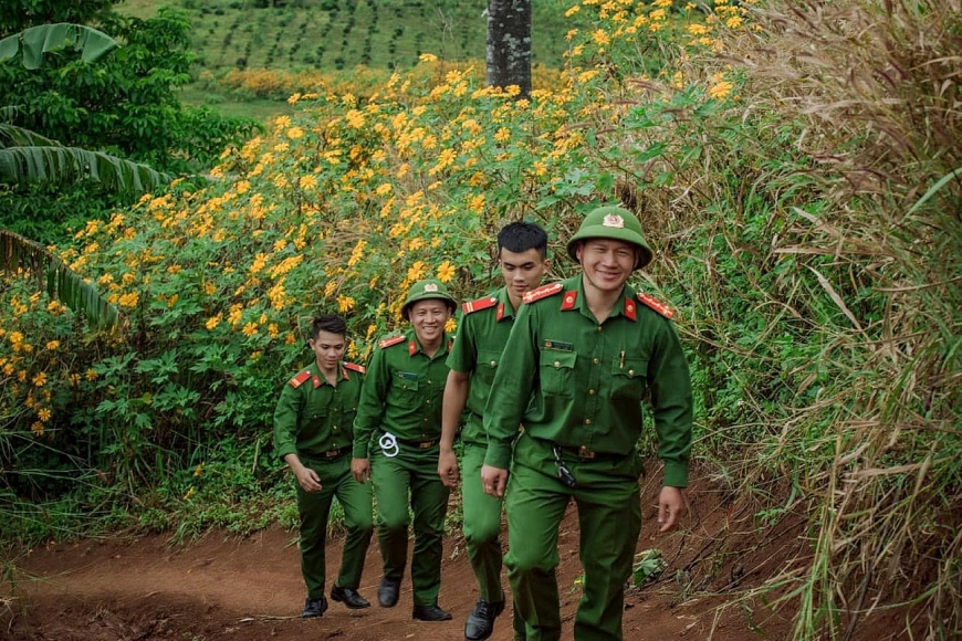 Trên đỉnh núi hoa vàng