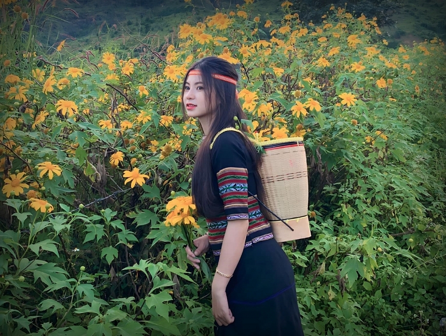 Trên đỉnh núi hoa vàng