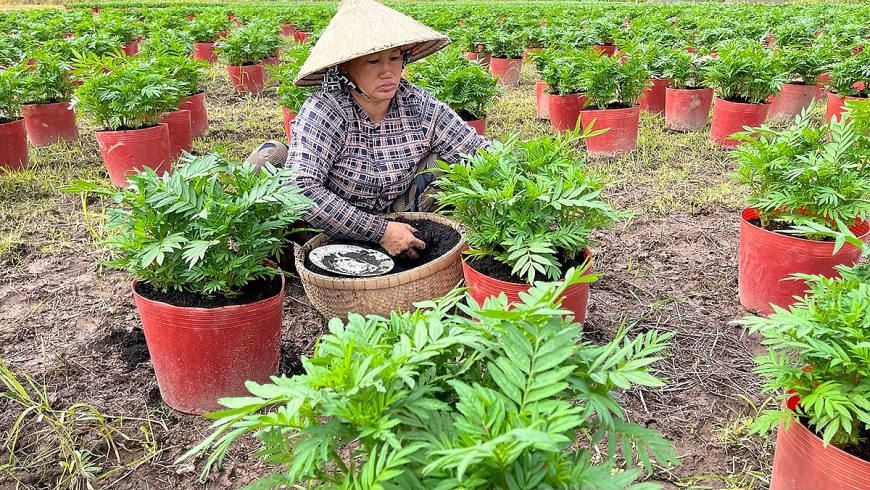 Nông dân chuẩn bị sản xuất phục vụ mùa Tết.