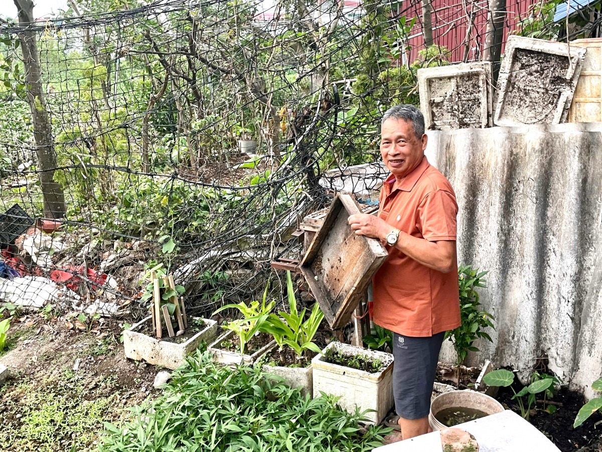 Mô hình nuôi ong tăng thu nhập của thành viên CLB LTHTGN khu Lê Bình