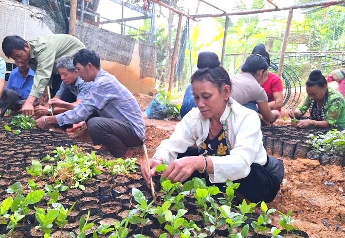 Thành lập Hội Người cao tuổi huyện theo Kết luận 58 của Ban Bí thư