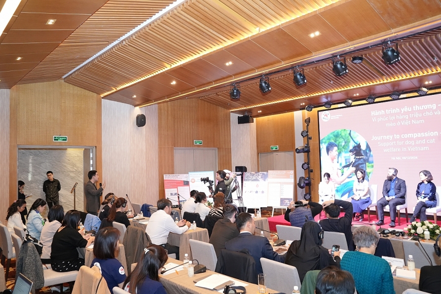 Đối thoại vì phúc lợi hàng triệu chó và mèo ở Việt Nam