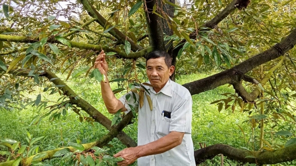 Người khởi xướng mô hình hợp tác xã ở ấp 2