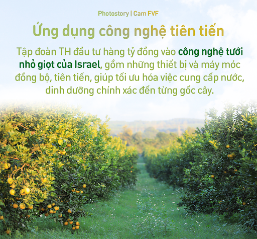 Giải mã lý do Cam tươi FVF chinh phục người tiêu dùng