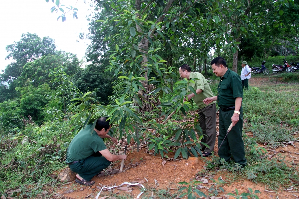 Các thành viên CLB chăm sóc rừng cây mới trồng