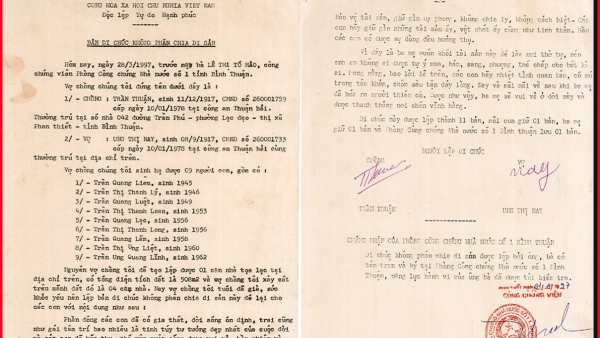 Những căn cứ mà các bị đơn là người cao tuổi yêu cầu hủy bản án sơ thẩm
