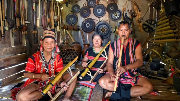 Bóng cả che làng