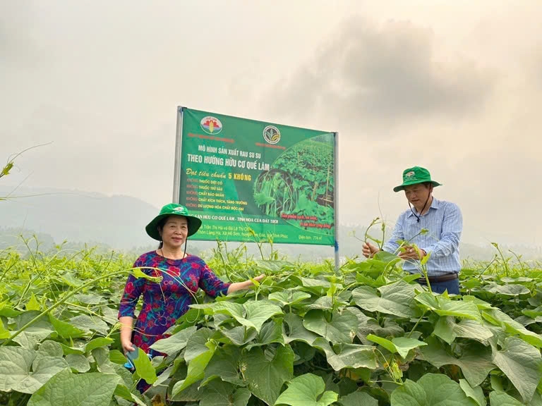 Mô hình sản xuất nông nghiệp hữu cơ do Tập đoàn Quế Lâm phối hợp thực hiện