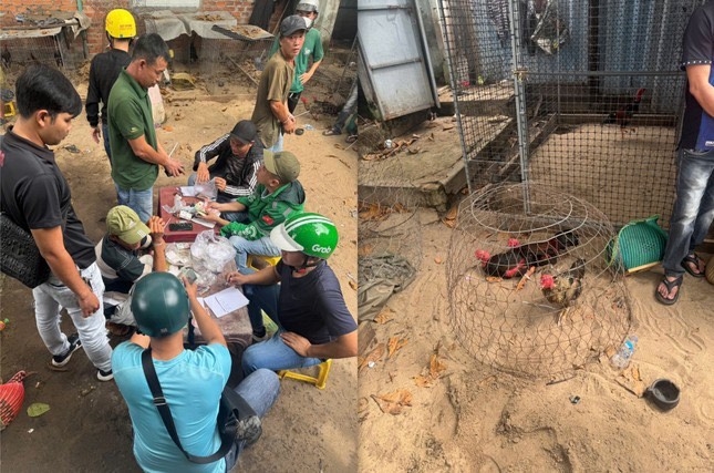 Bình Thuận: Đạt nhiều kết quả nổi bật trong những ngày đầu ra quân bảo vệ Tết Ất Tỵ 2025