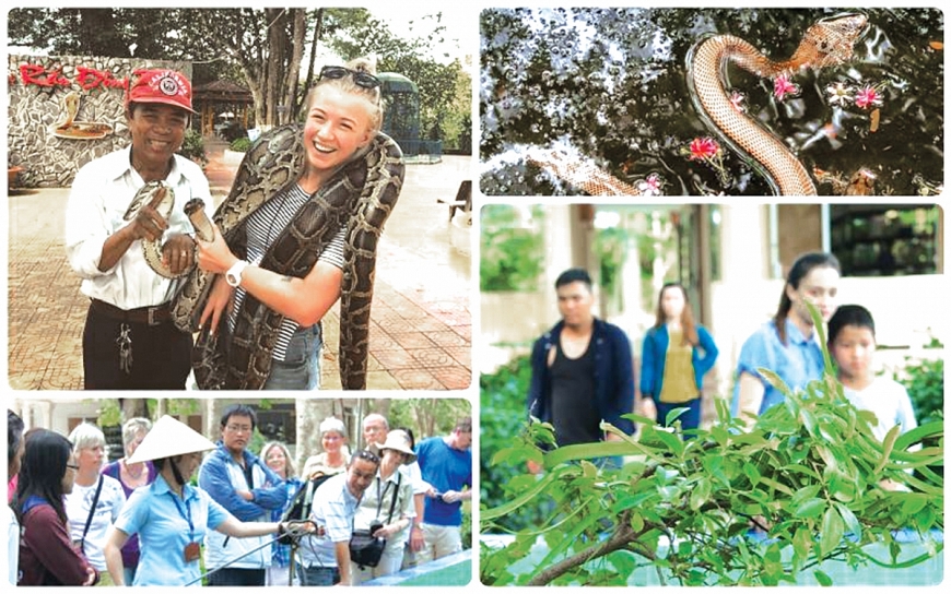 Chuyện về anh hùng nuôi rắn và “thầy rắn” của vùng sông nước Mekong