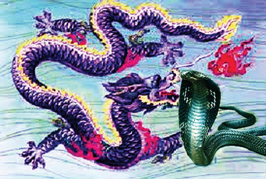 Rắn và Rồng - hiện thực và lãng mạn