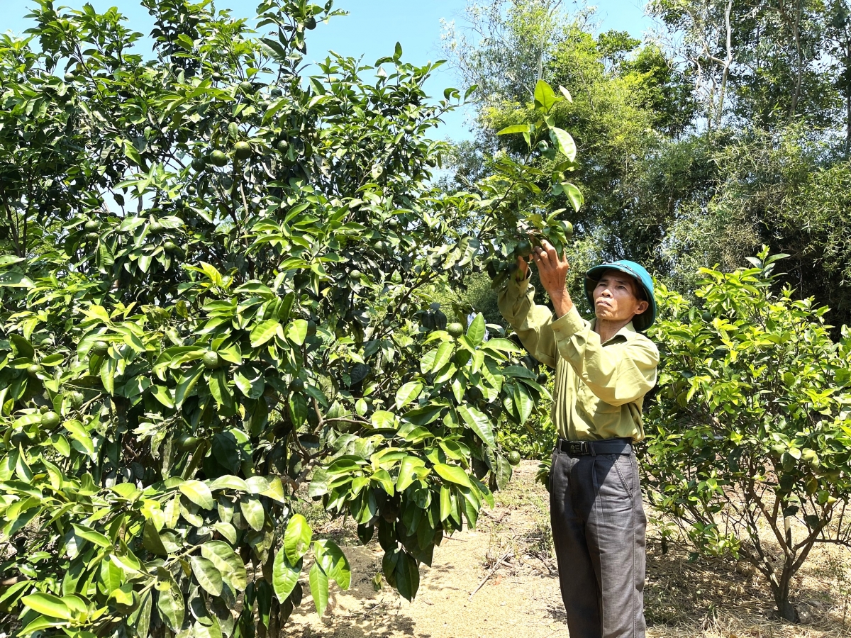 Mô hình làm kinh tế giỏi của NCT huyện Quảng Ninh, tỉnh Quảng Bình