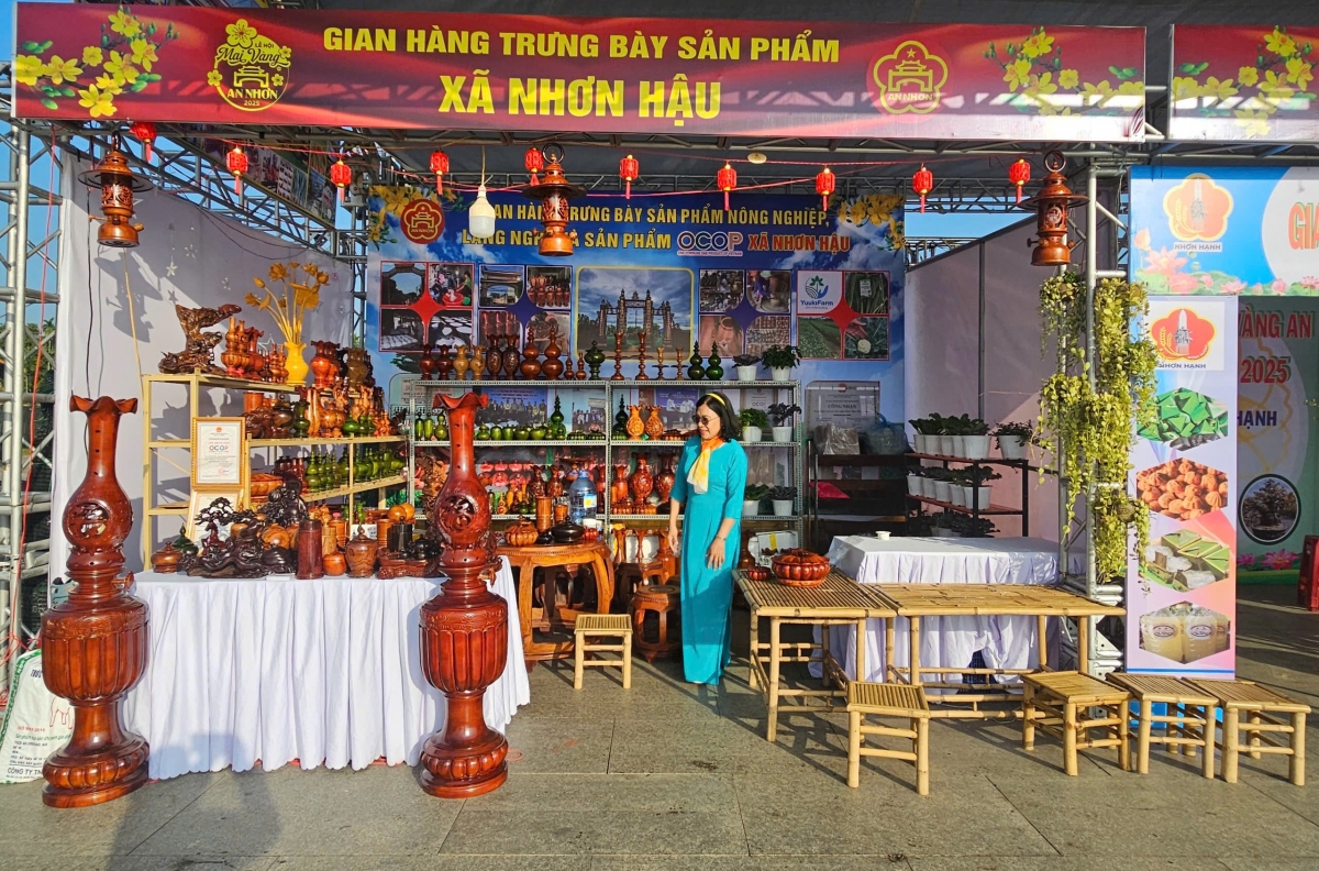 Mai khoe sắc, khoe dáng trong Lễ hội Mai vàng An Nhơn lần thứ 2 năm 2025