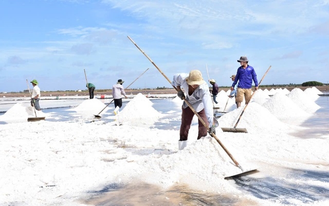 Tỉnh Bạc Liêu có nhiều điều kiện tự nhiên thuận lợi để phát triển nghề muối
