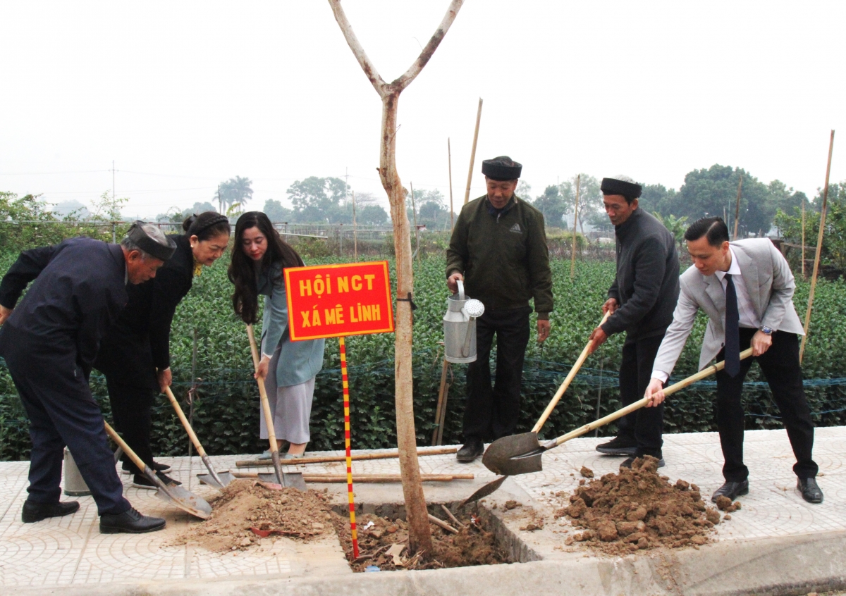 Lãnh đạo xã Mê Linh cùng cán bộ, hội viên NCT tham gia trồng cây