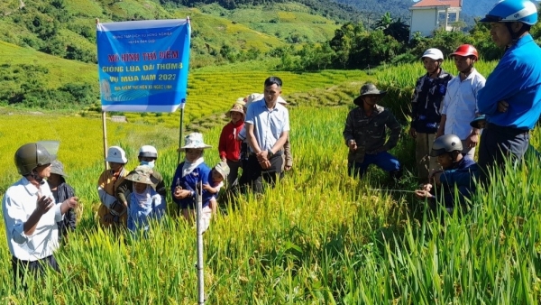 Những đổi thay dưới chân núi Ngọc Linh