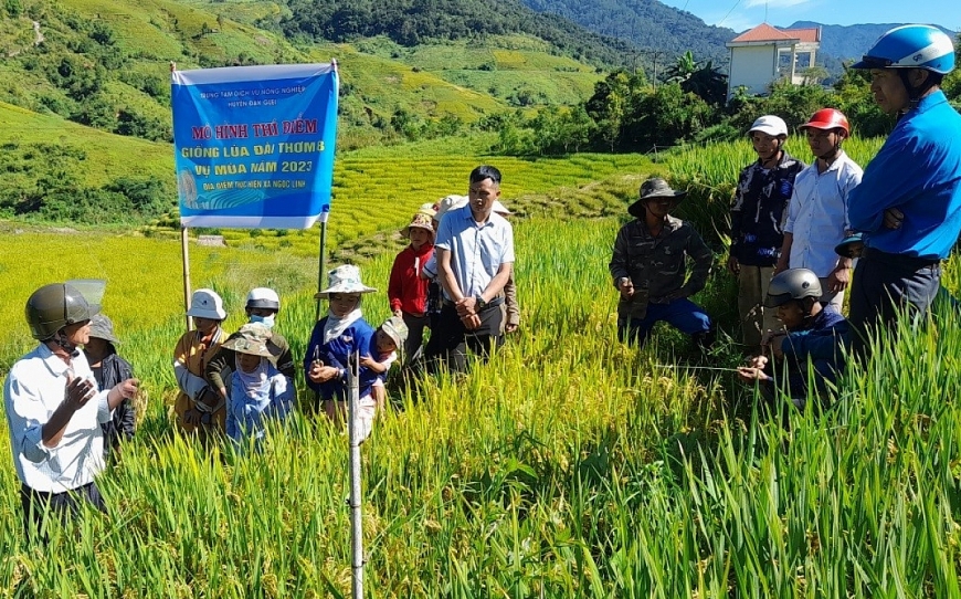 Những đổi thay dưới chân núi Ngọc Linh