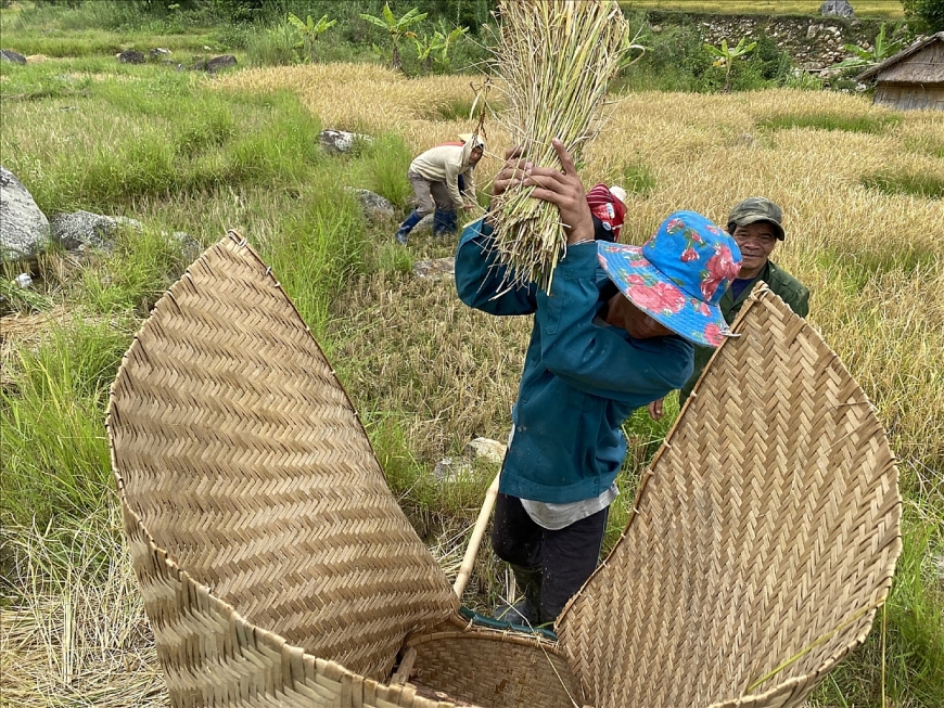 Những đổi thay dưới chân núi Ngọc Linh