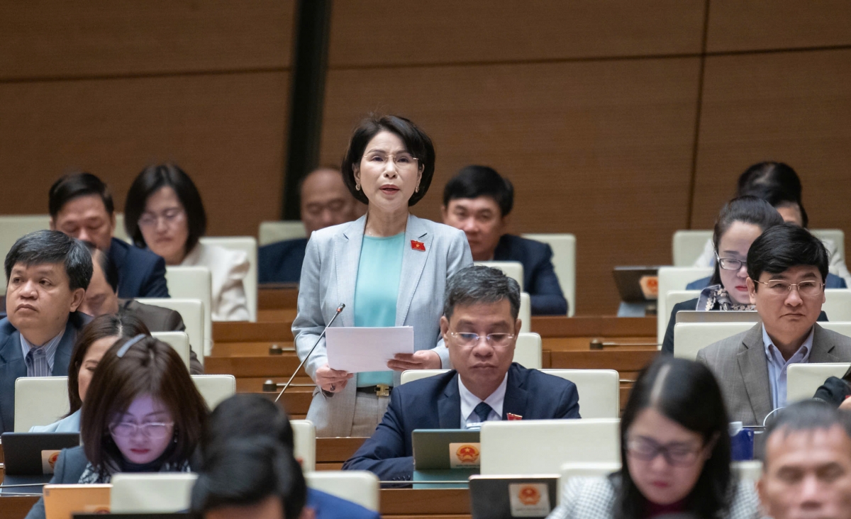 Đại biểu Trần Thị Nhị Hà TP Hà Nội