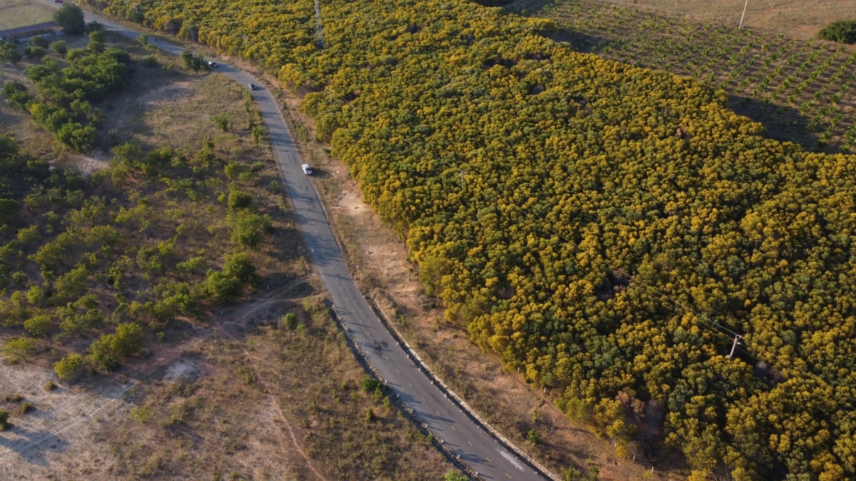 Năm 2025 du lịch Bình Thuận: Đón đầu nỗ lực đạt 10.600.000 lượt khách