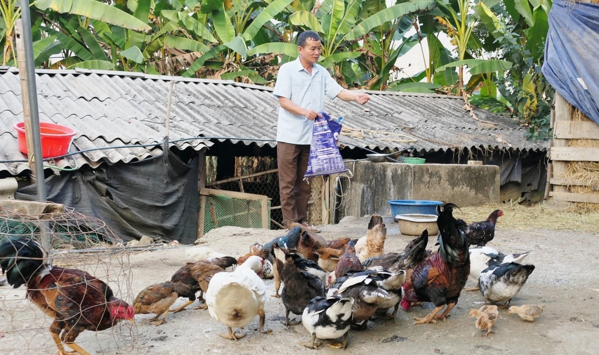 Mô hình làm kinh tế xóa đói giảm nghèo của người dân bản Bút Trên, xã Trung Đồng