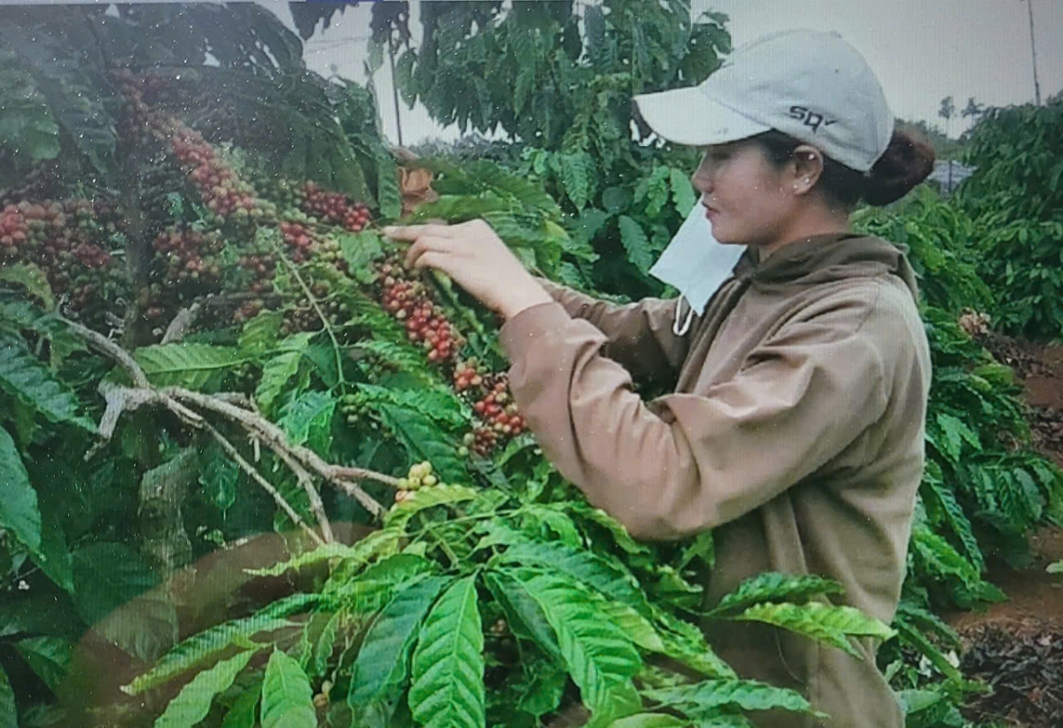 Hứa hẹn nhiều hoạt động mới mẻ, đặc sắc đậm đà bản sắc Tây Nguyên