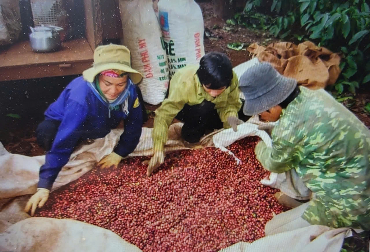 Hứa hẹn nhiều hoạt động mới mẻ, đặc sắc đậm đà bản sắc Tây Nguyên