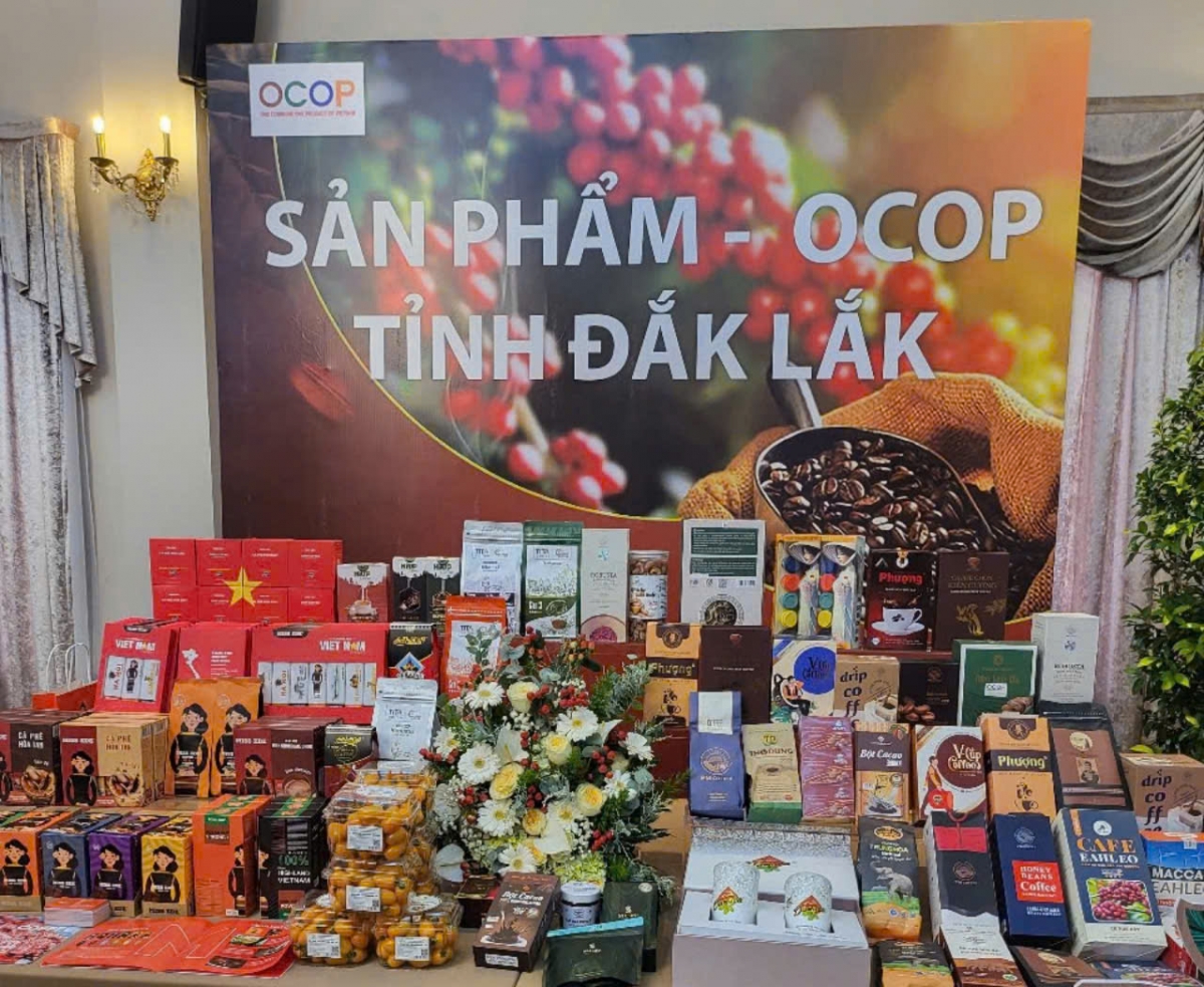 Hứa hẹn nhiều hoạt động mới mẻ, đặc sắc đậm đà bản sắc Tây Nguyên