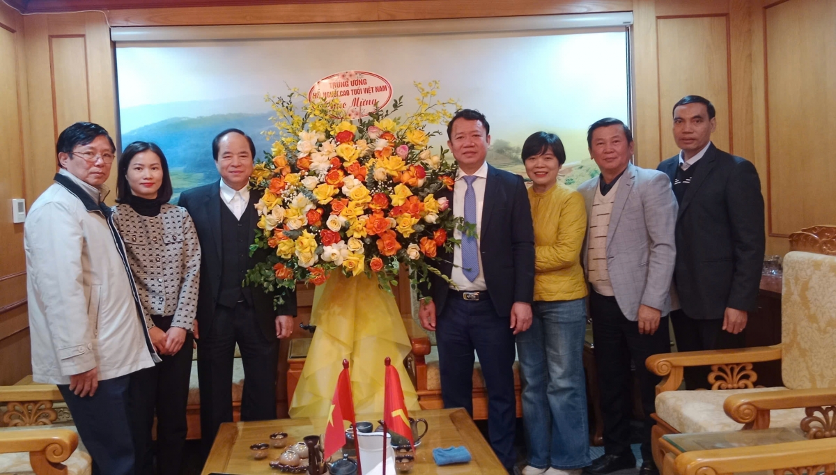 Thực hiện tốt chương trình nhân đạo “Mắt sáng cho người cao tuổi”, giai đoạn 2025 - 2028