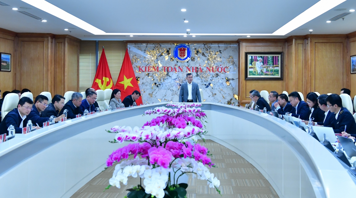 Kiểm toán chuyên đề cần tập trung vào đánh giá và tư vấn chính sách