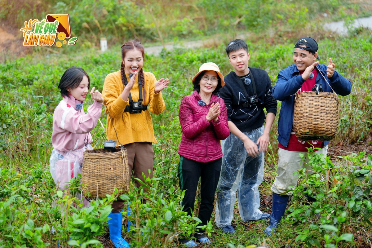 Để người trồng chè ở Quảng Ninh trở nên giàu có